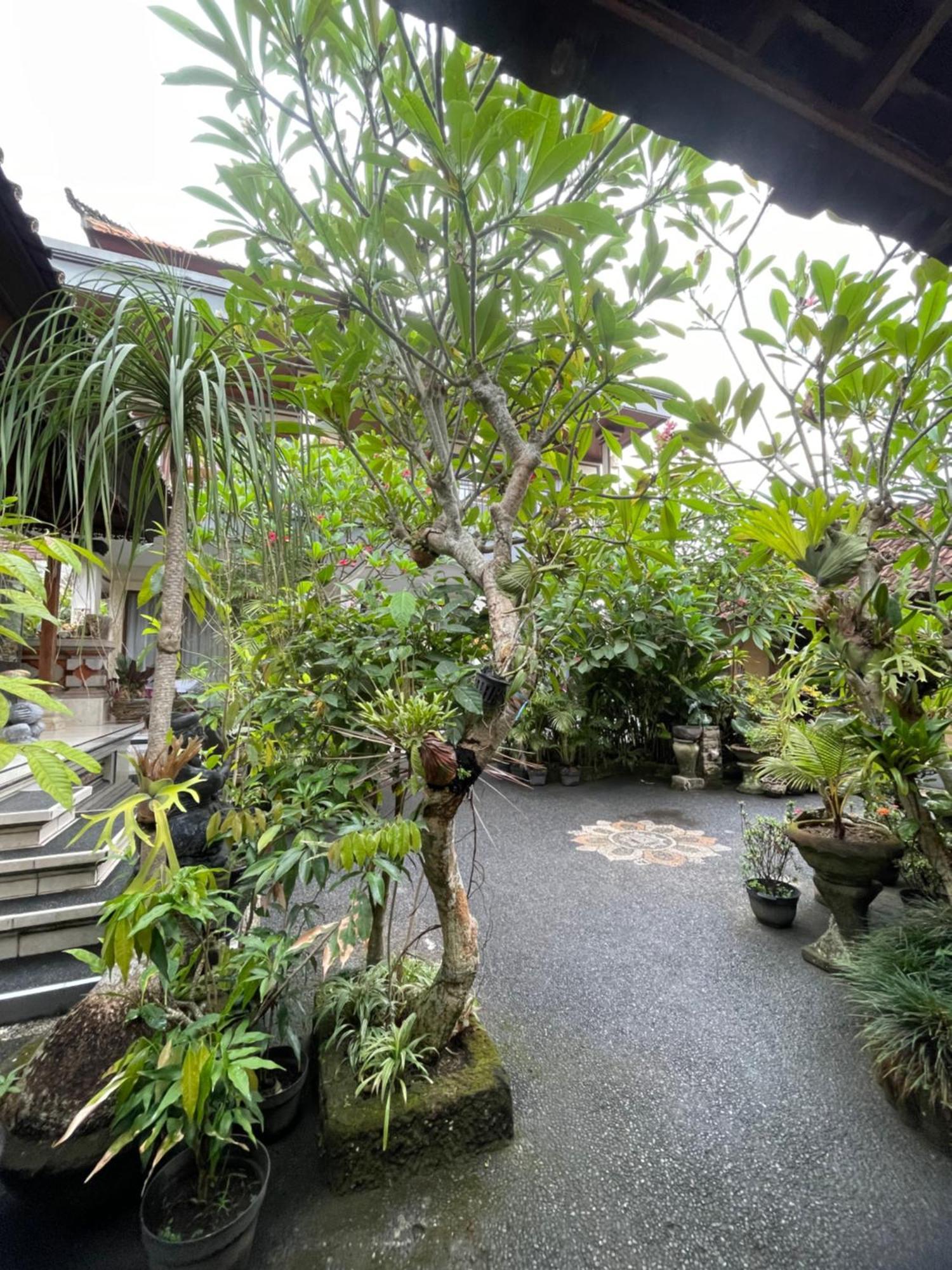 אובוד Suntari Homestay מראה חיצוני תמונה